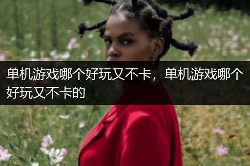 单机游戏哪个好玩又不卡，单机游戏哪个好玩又不卡的