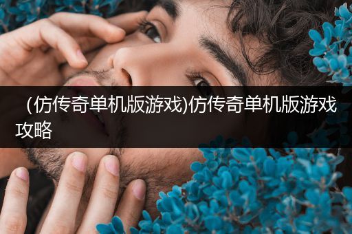 （仿传奇单机版游戏)仿传奇单机版游戏攻略