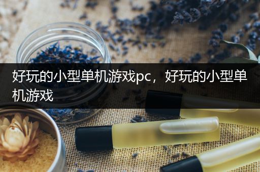 好玩的小型单机游戏pc，好玩的小型单机游戏