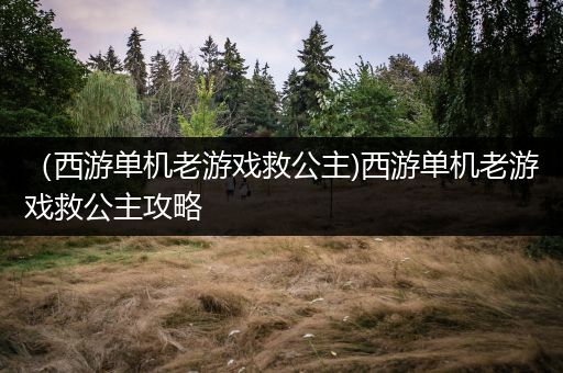 （西游单机老游戏救公主)西游单机老游戏救公主攻略