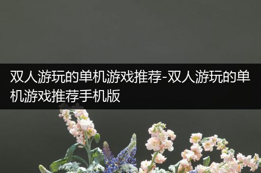 双人游玩的单机游戏推荐-双人游玩的单机游戏推荐手机版