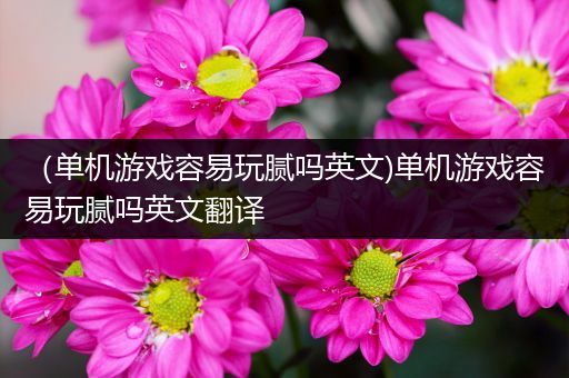 （单机游戏容易玩腻吗英文)单机游戏容易玩腻吗英文翻译