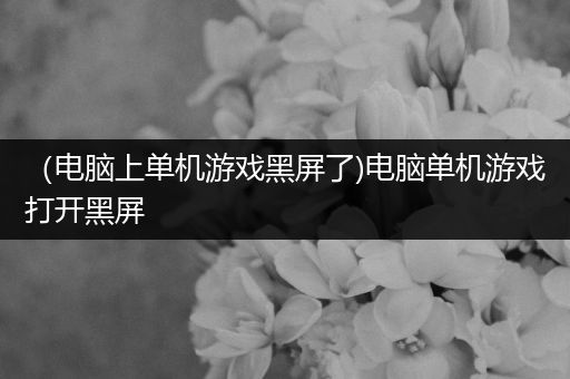 （电脑上单机游戏黑屏了)电脑单机游戏打开黑屏