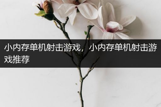 小内存单机射击游戏，小内存单机射击游戏推荐