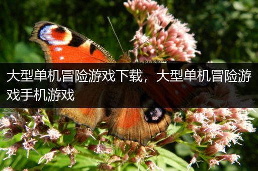 大型单机冒险游戏下载，大型单机冒险游戏手机游戏