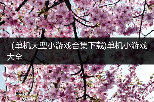 （单机大型小游戏合集下载)单机小游戏大全