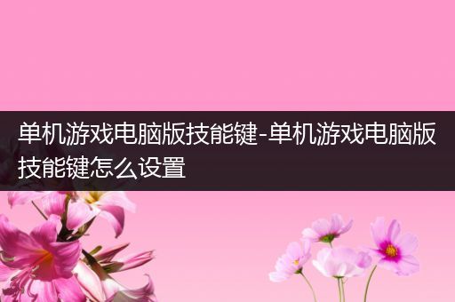 单机游戏电脑版技能键-单机游戏电脑版技能键怎么设置