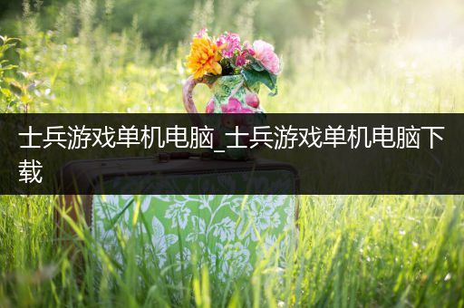 士兵游戏单机电脑_士兵游戏单机电脑下载