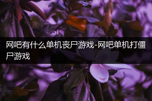 网吧有什么单机丧尸游戏-网吧单机打僵尸游戏