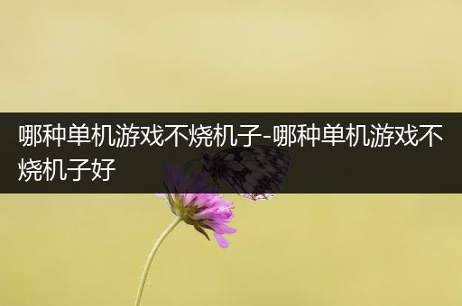 哪种单机游戏不烧机子-哪种单机游戏不烧机子好