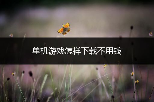 单机游戏怎样下载不用钱