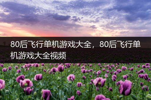 80后飞行单机游戏大全，80后飞行单机游戏大全视频