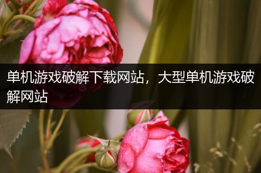 单机游戏破解下载网站，大型单机游戏破解网站