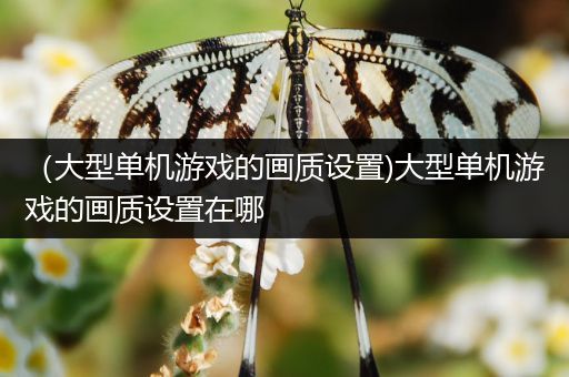（大型单机游戏的画质设置)大型单机游戏的画质设置在哪