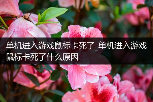 单机进入游戏鼠标卡死了_单机进入游戏鼠标卡死了什么原因