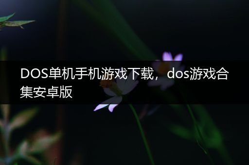 DOS单机手机游戏下载，dos游戏合集安卓版