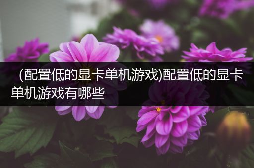 （配置低的显卡单机游戏)配置低的显卡单机游戏有哪些