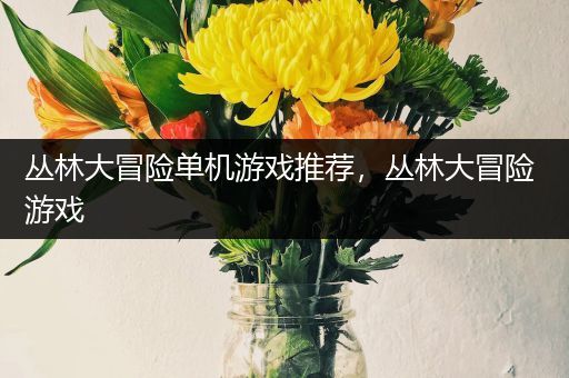 丛林大冒险单机游戏推荐，丛林大冒险 游戏