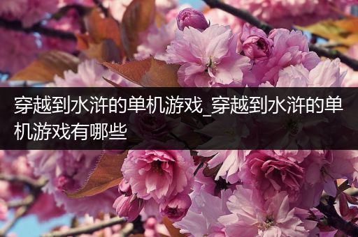 穿越到水浒的单机游戏_穿越到水浒的单机游戏有哪些