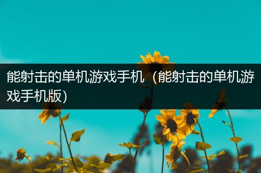 能射击的单机游戏手机（能射击的单机游戏手机版）