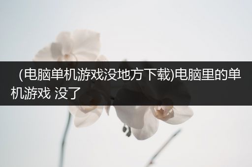 （电脑单机游戏没地方下载)电脑里的单机游戏 没了