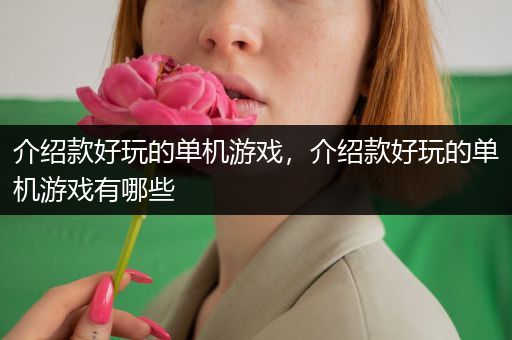 介绍款好玩的单机游戏，介绍款好玩的单机游戏有哪些