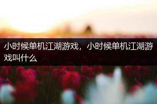 小时候单机江湖游戏，小时候单机江湖游戏叫什么