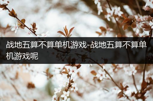 战地五算不算单机游戏-战地五算不算单机游戏呢