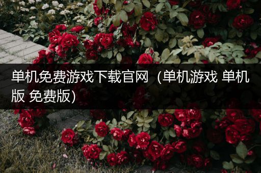 单机免费游戏下载官网（单机游戏 单机版 免费版）