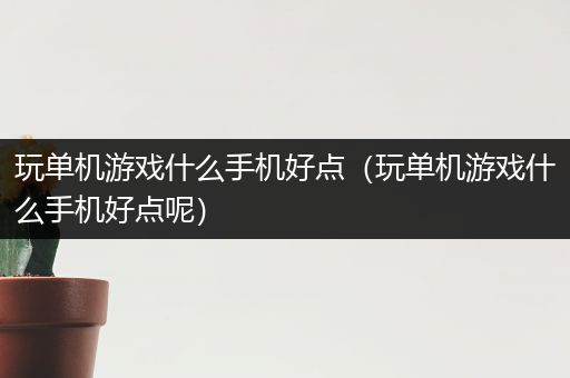 玩单机游戏什么手机好点（玩单机游戏什么手机好点呢）