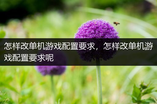 怎样改单机游戏配置要求，怎样改单机游戏配置要求呢