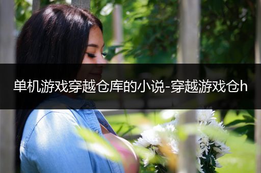 单机游戏穿越仓库的小说-穿越游戏仓h