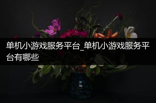 单机小游戏服务平台_单机小游戏服务平台有哪些