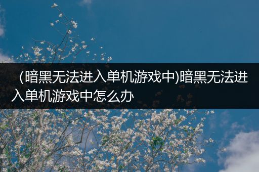 （暗黑无法进入单机游戏中)暗黑无法进入单机游戏中怎么办