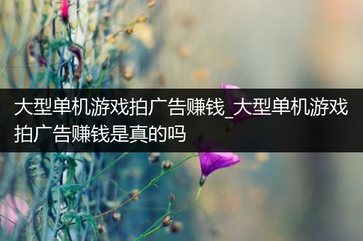 大型单机游戏拍广告赚钱_大型单机游戏拍广告赚钱是真的吗