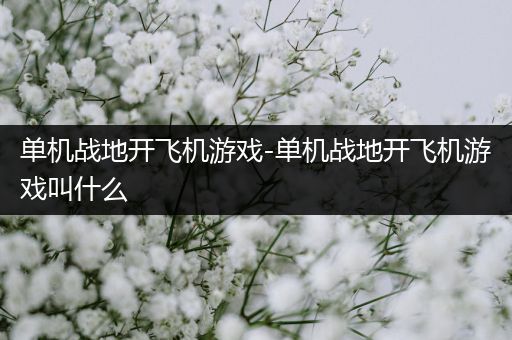单机战地开飞机游戏-单机战地开飞机游戏叫什么