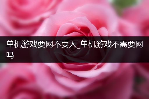 单机游戏要网不要人_单机游戏不需要网吗