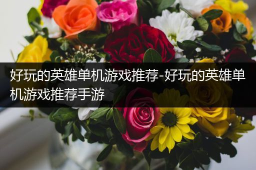 好玩的英雄单机游戏推荐-好玩的英雄单机游戏推荐手游