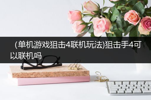 （单机游戏狙击4联机玩法)狙击手4可以联机吗