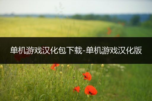 单机游戏汉化包下载-单机游戏汉化版