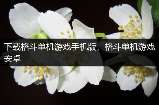 下载格斗单机游戏手机版，格斗单机游戏安卓