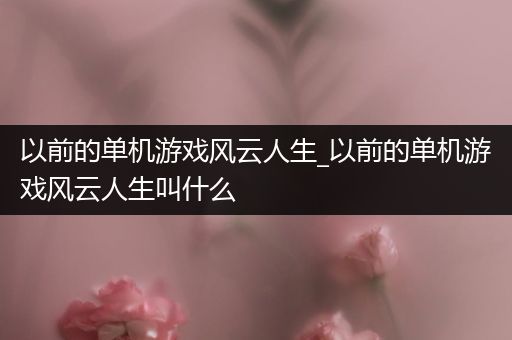 以前的单机游戏风云人生_以前的单机游戏风云人生叫什么