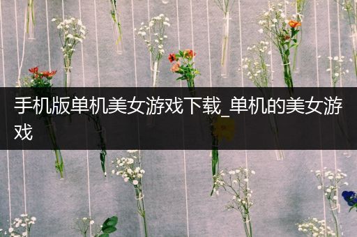 手机版单机美女游戏下载_单机的美女游戏