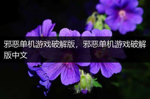 邪恶单机游戏破解版，邪恶单机游戏破解版中文