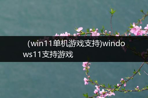 （win11单机游戏支持)windows11支持游戏