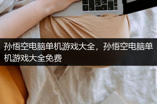 孙悟空电脑单机游戏大全，孙悟空电脑单机游戏大全免费