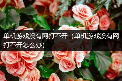 单机游戏没有网打不开（单机游戏没有网打不开怎么办）