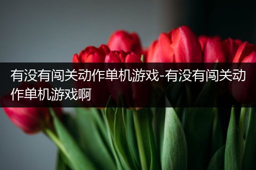 有没有闯关动作单机游戏-有没有闯关动作单机游戏啊