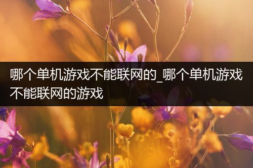 哪个单机游戏不能联网的_哪个单机游戏不能联网的游戏