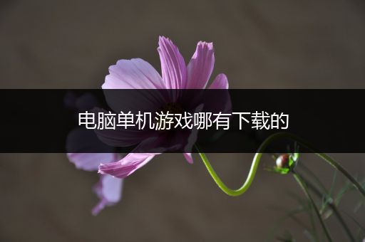 电脑单机游戏哪有下载的
